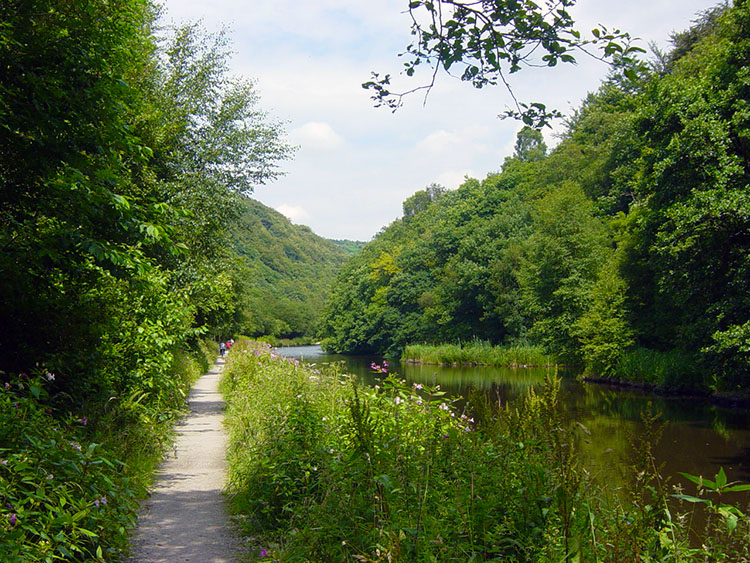 Lush green canalside near Hebden Bridge