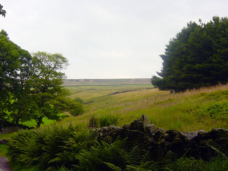 Up on open land at Walshaw