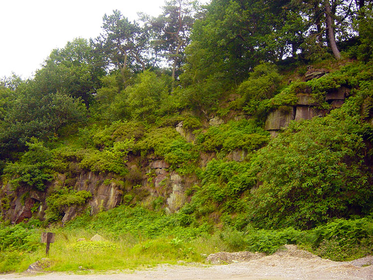 Greenery amid rocky outcrops in Crimsworth Dean