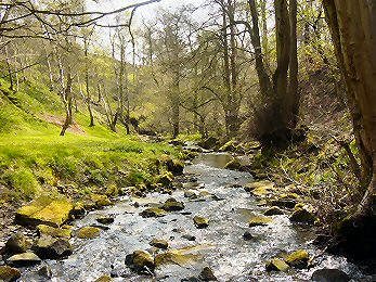 Shipley Glen is one of Bradford's natural jewels