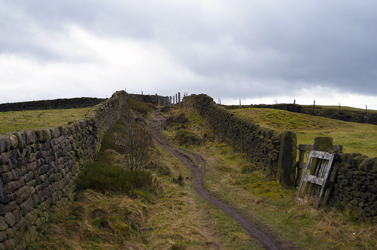 Moorland path to Harden Moor near Heather Glen