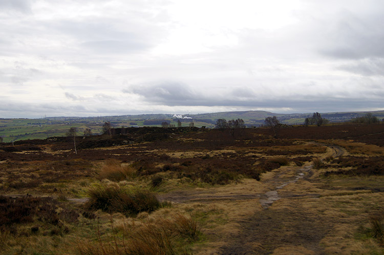 Harden Moor