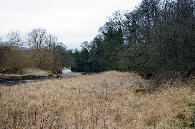 River Aire near Cottingley Viaduct