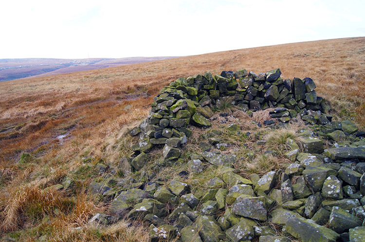 Shelter on Blackwood Edge Road