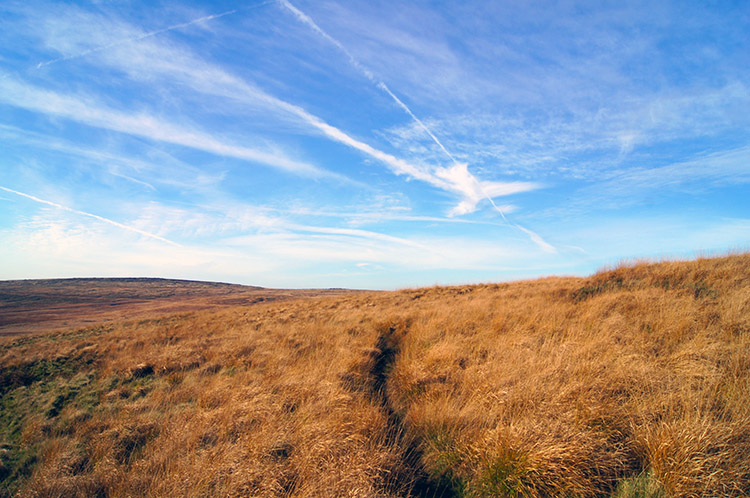 Great moorland walking