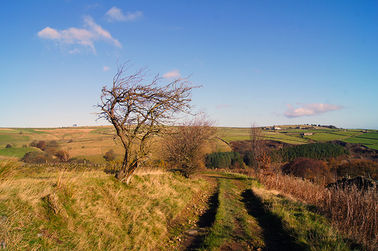 On the lane from Holme to Digley Reservoir