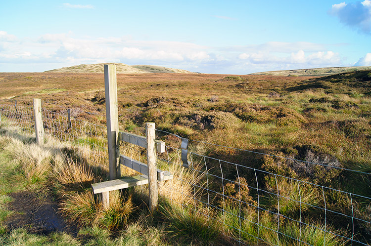 Near Ruddle Clough Head