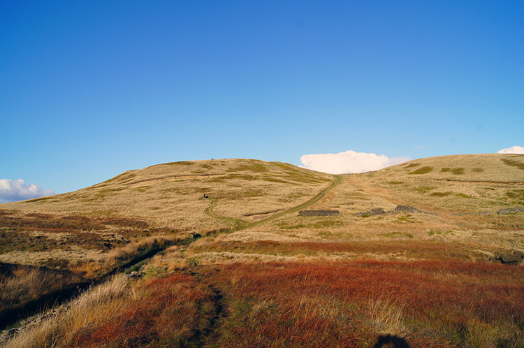 Cook's Study Hill