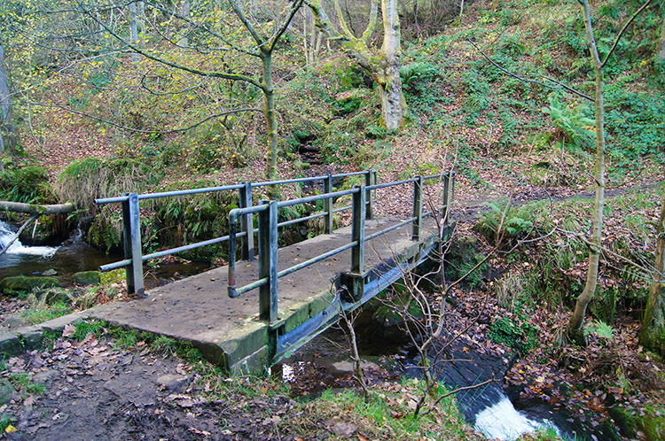 Footbridge over Rake Dike