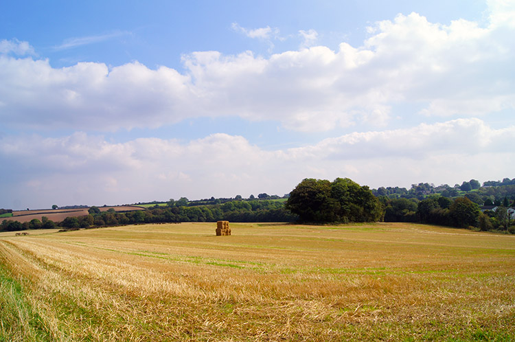 View from the Leeds Country Way
