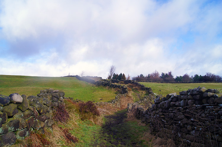 Winding track near Hard Nese Clough