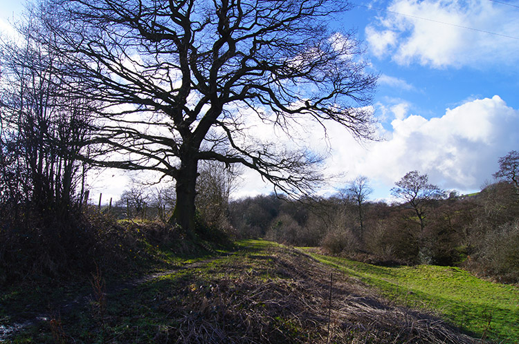 Near Bank Foot Bridge