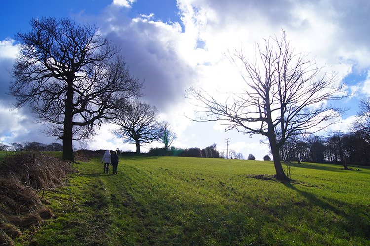 Climbing from Molly Carr Wood to Arthur Wood