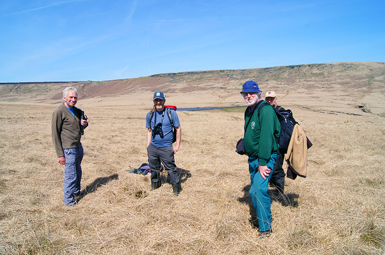 National Trust volunteers looking for Molinia