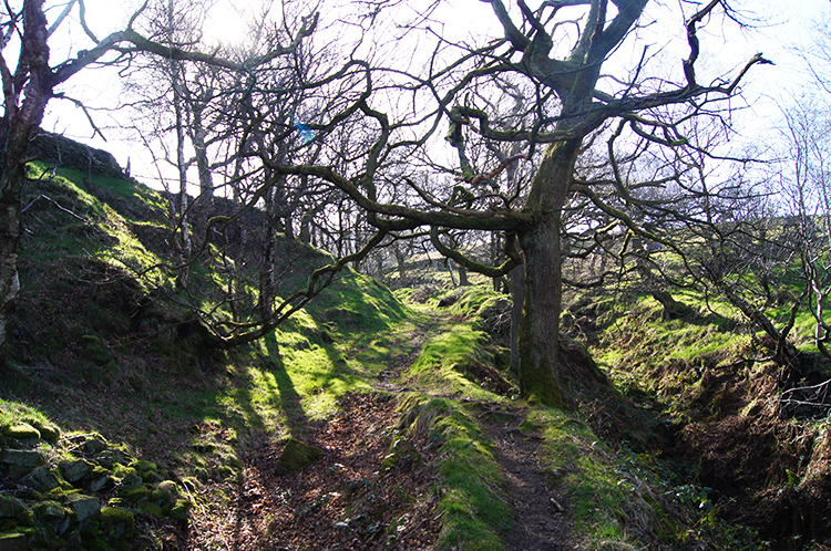 Bank Clough