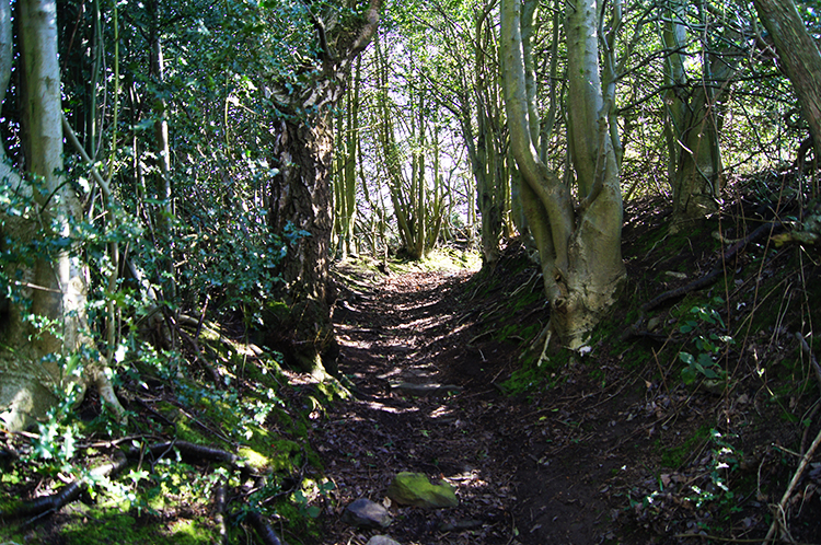 Lane above Brockholes