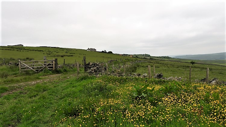 Whirlaw Common