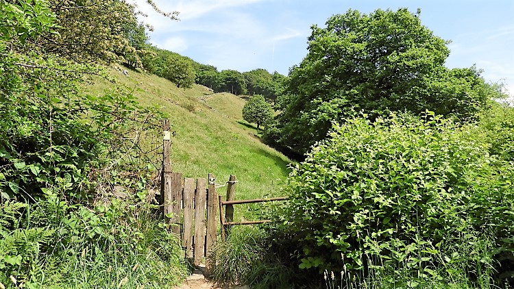 Pennine countryside east of Pudsey