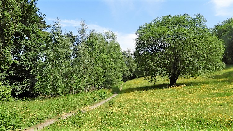 Centre Vale Park