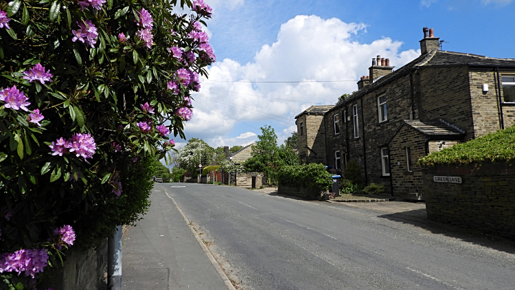 Green Lane, Shelf