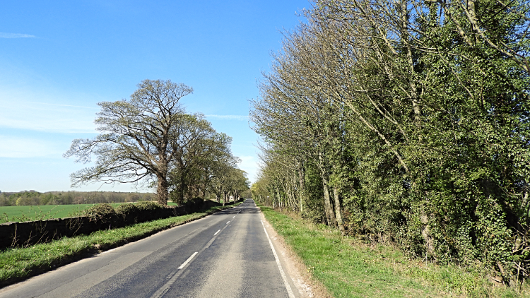 The roman road from Bramham