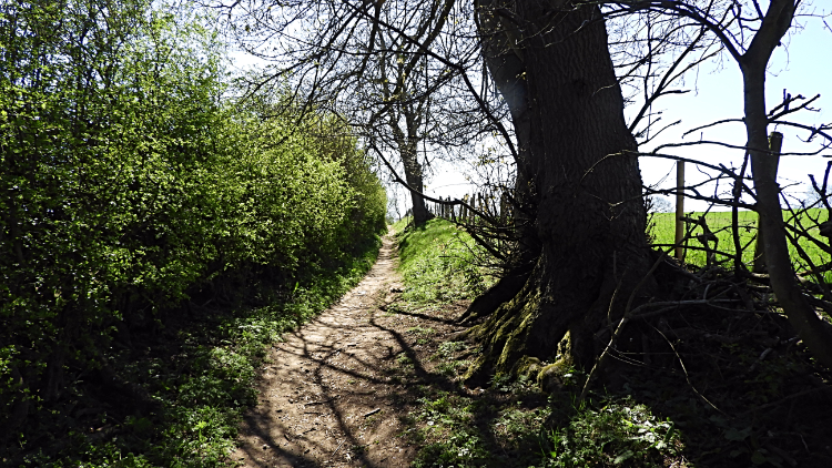 Path from Oaklands Manor to Thorner
